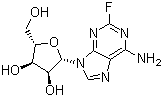 2-Fluoroadenosine molecular structure (CAS 146-78-1)