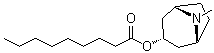 托品醇壬酸酯分子结构 (CAS 146018-90-8)