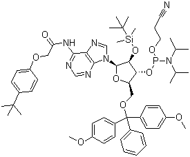 5'-O-(4,4-Dimethoxytrityl)-2'-O-[(tert-butyl)dimethylsilyl]-N-[[4-(tert-butyl)phenoxy]acetyl]adenosine-3'-(2-cyanoethyl-N,N-diisopropyl)phosphoramidite molecular structure (CAS 149989-64-0)