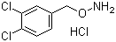 O-(3,4-Dichlorobenzyl)hydroxylamine hydrochloride molecular structure (CAS 15256-10-7)