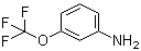 3-(Trifluoromethoxy)aniline molecular structure (CAS 1535-73-5)