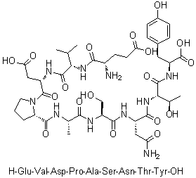 L-alpha-Glutamyl-L-valyl-L-alpha-aspartyl-L-prolyl-L-alanyl-L-seryl-L-asparaginyl-L-threonyl-L-tyrosine molecular structure (CAS 155280-16-3)