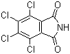 Tetrachlorophthalimide molecular structure (CAS 1571-13-7)