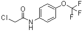 2-Chloro-N-(4-trifluoromethoxyphenyl)acetamide molecular structure (CAS 161290-85-3)