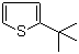 2-tert-Butylthiophene molecular structure (CAS 1689-78-7)
