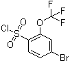 结构式 CAS# 175278-14-5, 4-溴-2-三氟甲氧基苯磺酰氯
