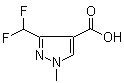 3-Difluoromethyl-1-methylpyrazole-4-carboxylic acid molecular structure (CAS 176969-34-9)