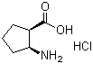 cis-2-Amino-1-cyclopentanecarboxylic acid hydrochloride molecular structure (CAS 18414-30-7)