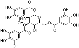 1,3,6-Tri-O-galloyl-beta-D-glucopyranose molecular structure (CAS 18483-17-5)