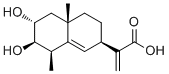 2,3-Dihydroxypterodontic acid molecular structure (CAS 185821-32-3)