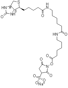 6-[[6-[[5-[(3aS,4S,6aR)-Hexahydro-2-oxo-1H-thieno[3,4-d]imidazol-4-yl]-1-oxopentyl]amino]-1-oxohexyl]amino]-hexanoic acid 2,5-dioxo-3-sulfo-1-pyrrolidinyl ester sodium salt molecular structure (CAS 194041-66-2)