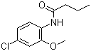 N-(4-Chloro-2-methoxyphenyl)butanamide molecular structure (CAS 196866-07-6)