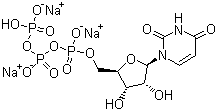 Uridine-5'-triphosphoric acid trisodium salt molecular structure (CAS 19817-92-6)