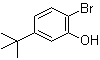 2-Bromo-5-tert-butylphenol molecular structure (CAS 20942-68-1)