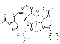 Jatrophane 4 molecular structure (CAS 210108-88-6)