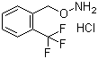 structure of CAS# 215599-92-1, O-(2-Trifluoromethylbenzyl)hydroxylamine hydrochloride