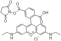 结构式 CAS# 216699-36-4, 6-羧基-X-罗丹明琥珀酰亚胺酯