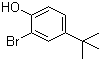 2-溴-4-叔丁基苯酚分子结构 (CAS 2198-66-5)