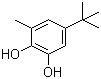 5-tert-Butyl-3-methyl-1,2-benzenediol molecular structure (CAS 2213-66-3)