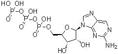 9-(beta-D-Ribofuranosyl)-2-aminopurine 5'-triphosphate molecular structure (CAS 23001-60-7)