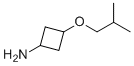 (1r,3r)-3-(2-Methylpropoxy)cyclobutan-1-amine molecular structure (CAS 2325898-97-1)
