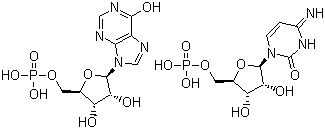 Polyinosinic acid-polycytidylic acid molecular structure (CAS 24939-03-5)