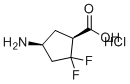 (1S,4S)-4-Amino-2,2-difluorocyclopentane-1-carboxylic acid hydrochloride molecular structure (CAS 2496497-79-9)