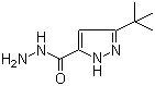 3-(tert-Butyl)-1H-pyrazole-5-carbohydrazide molecular structure (CAS 262292-02-4)