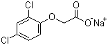 Sodium 2,4-dichlorophenoxyacetate molecular structure (CAS 2702-72-9)