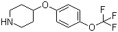 4-[4-(Trifluoromethoxy)phenoxy]piperidine molecular structure (CAS 28033-37-6)
