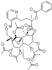 Wilfornine A molecular structure (CAS 345954-00-9)