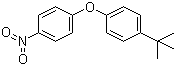 4-Nitro-4'-tert-butyldiphenyl ether molecular structure (CAS 34859-82-0)