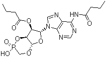 二丁酰环磷腺苷分子结构 (CAS 362-74-3)