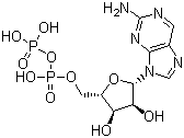 2-Aminopurine ribodylic acid molecular structure (CAS 36475-53-3)