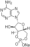 Adenosine 3',5'-phosphoric acid sodium salt molecular structure (CAS 37839-81-9)