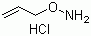 O-Allylhydroxylamine hydrochloride molecular structure (CAS 38945-21-0)