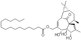 巨大戟醇-20-棕榈酸酯分子结构 (CAS 39071-33-5)