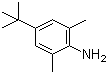 4-tert-Butyl-2,6-dimethylaniline molecular structure (CAS 42014-60-8)
