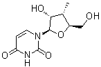 3'-脱氧-3'-甲基尿苷分子结构 (CAS 444020-64-8)