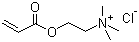structure of CAS# 44992-01-0, Acryloyloxyethyltrimethyl ammonium chloride;[2-(Acryloyloxy)ethyl]trimethylammonium chloride