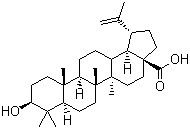 Betulinic acid  molecular structure (CAS 472-15-1)