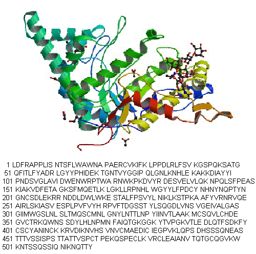 structure of CAS# 488712-31-8, Hyaluronidase (sheep testis isoenzyme);Hyaluronidase (ovine); Vitrase