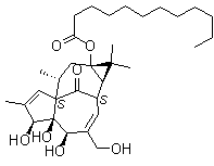Dodecanoic acid ingenol ester molecular structure (CAS 54706-70-6)