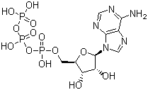 结构式 CAS# 56-65-5, 5'-三磷酸腺苷; 腺苷-5'-三磷酸