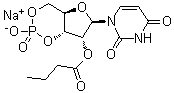 Uridine cyclic 3',5'-(hydrogen phosphate) 2'-butanoate monosodium salt molecular structure (CAS 57329-12-1)