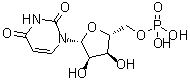 结构式 CAS# 58-97-9, 5'-尿苷酸