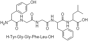 [Leu5]Enkephalin molecular structure (CAS 58822-25-6)