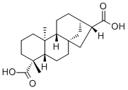 ent-kauran-17,19-dioic acid molecular structure (CAS 60761-79-7)