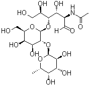O-6-Deoxy-alpha-L-galactopyranosyl-(1→2)-O-beta-D-galactopyranosyl-(1→4)-2-(acetylamino)-2-deoxy-D-glucose molecular structure (CAS 60797-31-1)