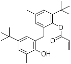 2-(2-Hydroxy-3-tert-butyl-5-methylbenzyl)-4-methyl-6-tert-butylphenyl acrylate molecular structure (CAS 61167-58-6)